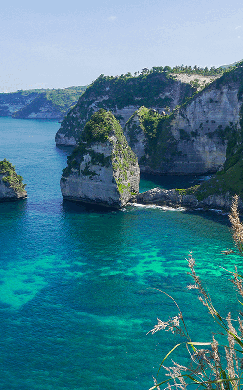 Viagens em Fam�lia